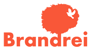 brandrei agencja marketingu internetowego